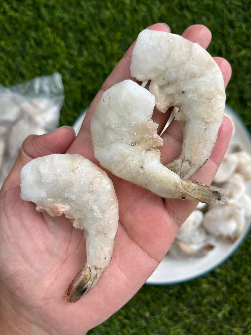 ภาพขนาดย่อ: กุ้งดิบติดเปลือก 16/30 120฿