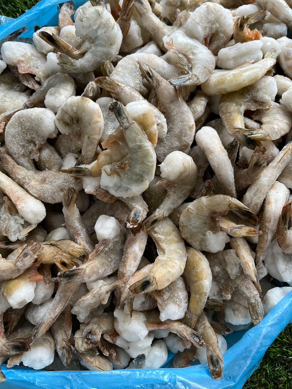 ภาพขนาดย่อ: กุ้งดิบติดเปลือก 16/30 120฿