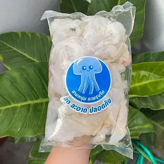 ภาพขนาดย่อ: กระพรุนจืด Jellyfish 35-55฿