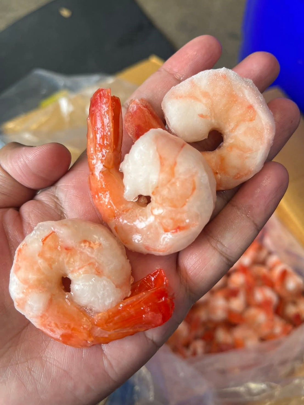 ภาพขนาดย่อ: กุ้งขาวต้มเด้ง 41/50  125฿