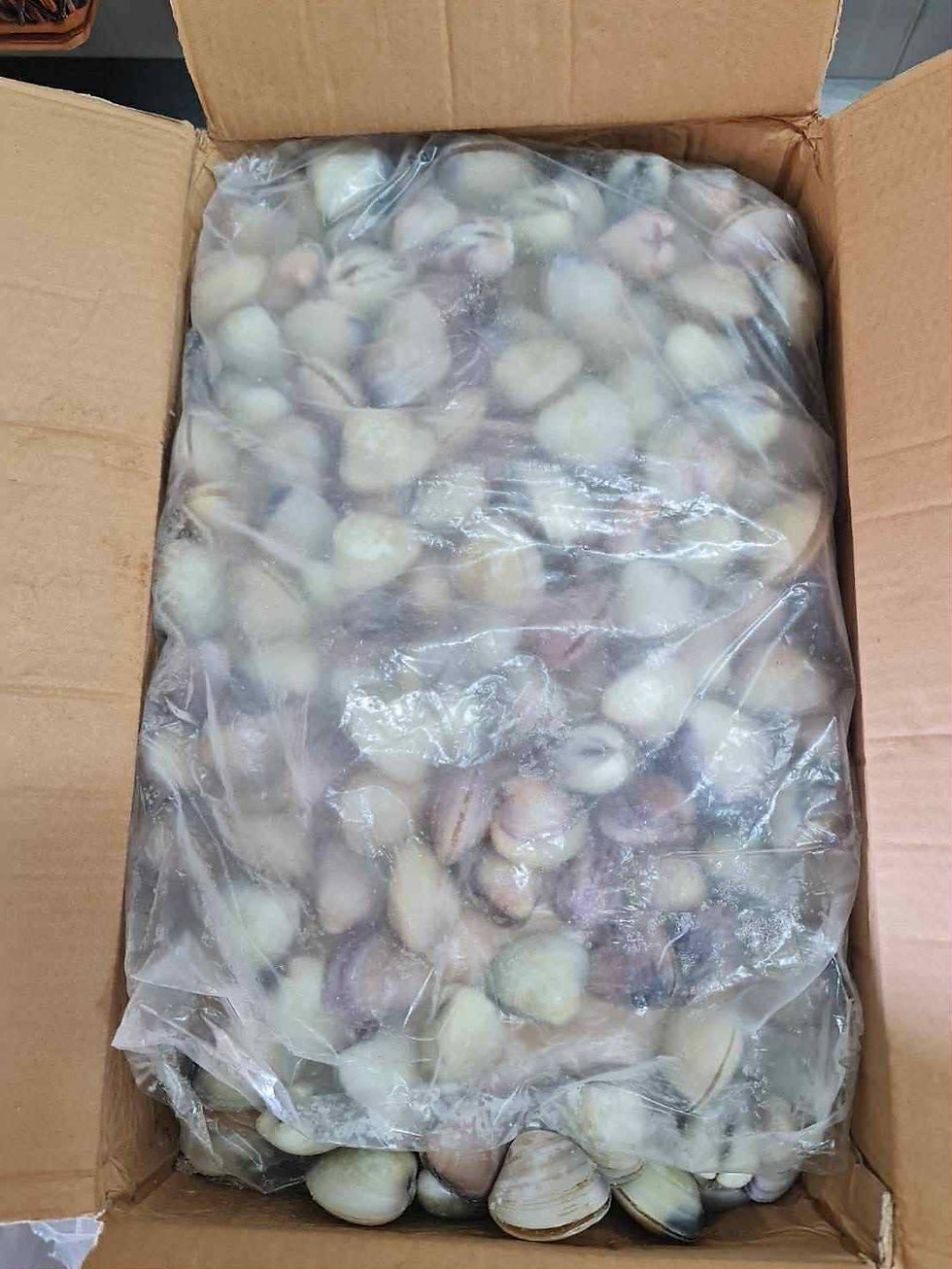 ภาพขนาดย่อ: หอยตลับ 60฿