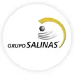 Logo de Grupo Salinas – corporativo empresarial que participó en programas de liderazgo y cultura de servicio inspirados en el Modelo Disney.