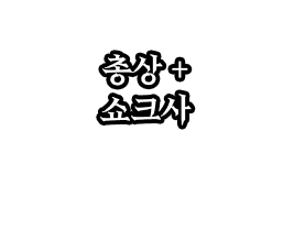 총상쇼크사.png