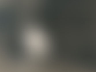 Georgia O'Keeffe Museum: Recent Acquisition