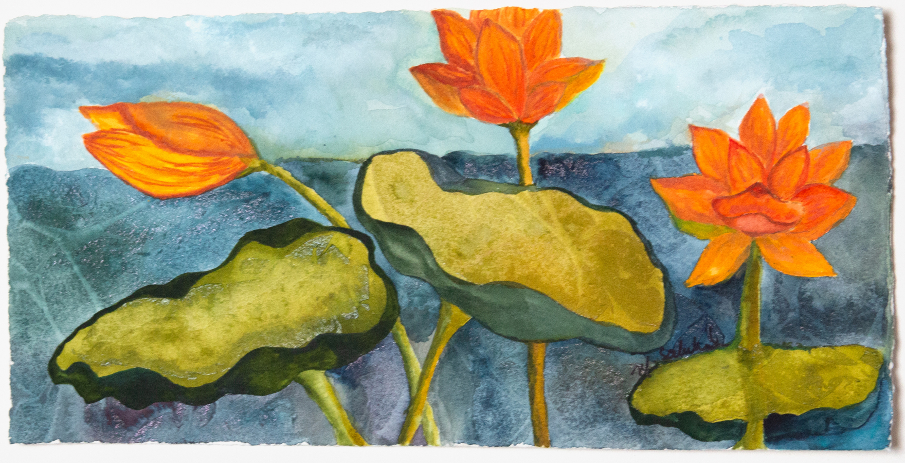 Cloudy Day at the Lotus Pond
