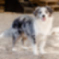 _F9A9538_edited.jpg