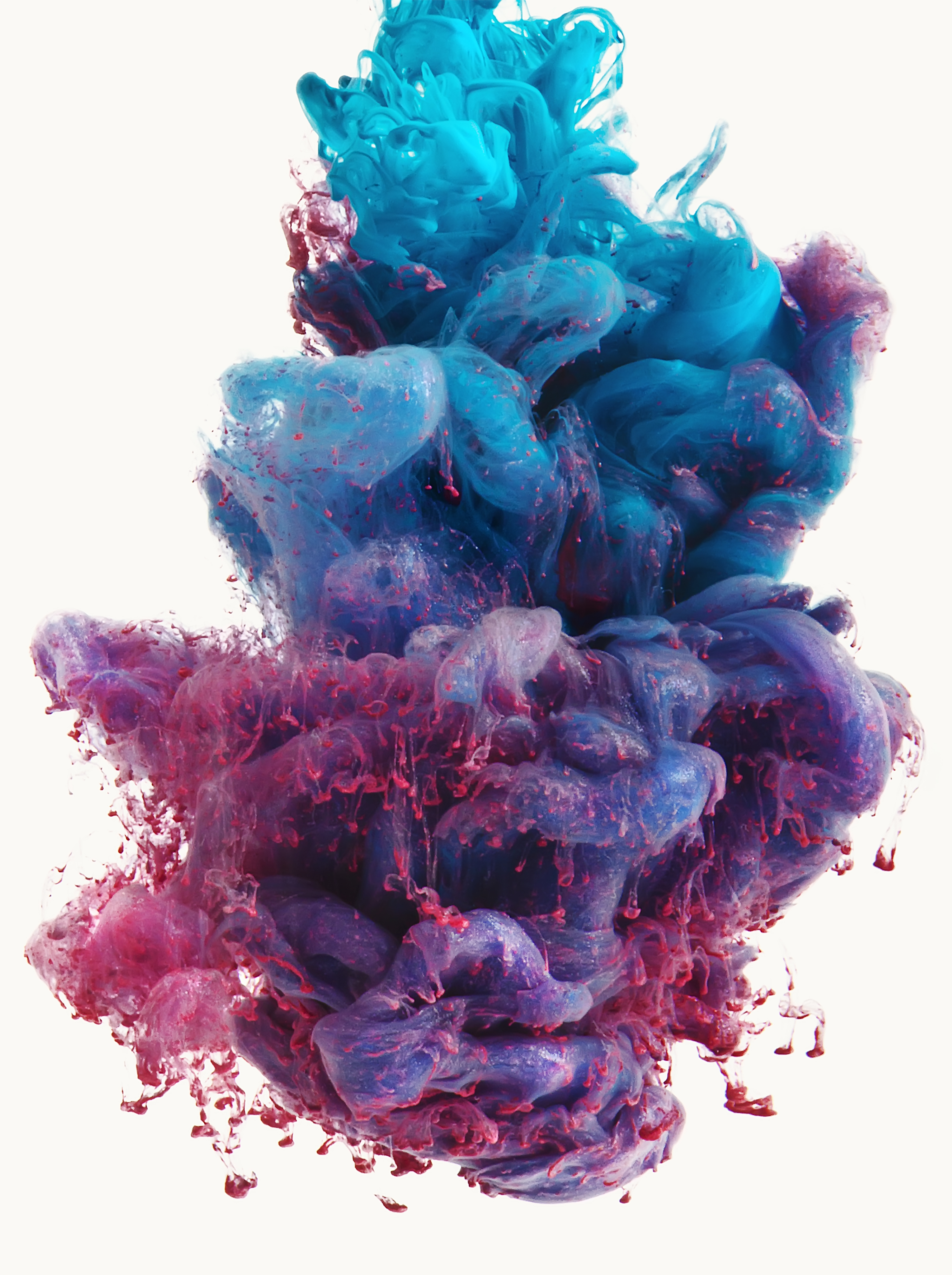 The Experimental Essay