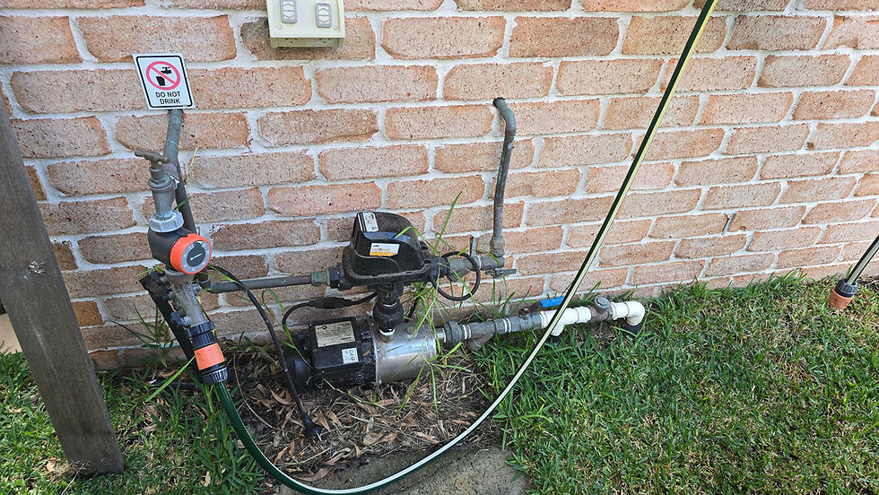 Rainwater Tanks and Pumps: Maintenance Tips for Port Stephens Homes