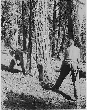 lossy-page1-476px-Civilian_Conservation_