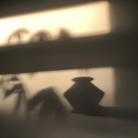 IMG_3678.jpeg