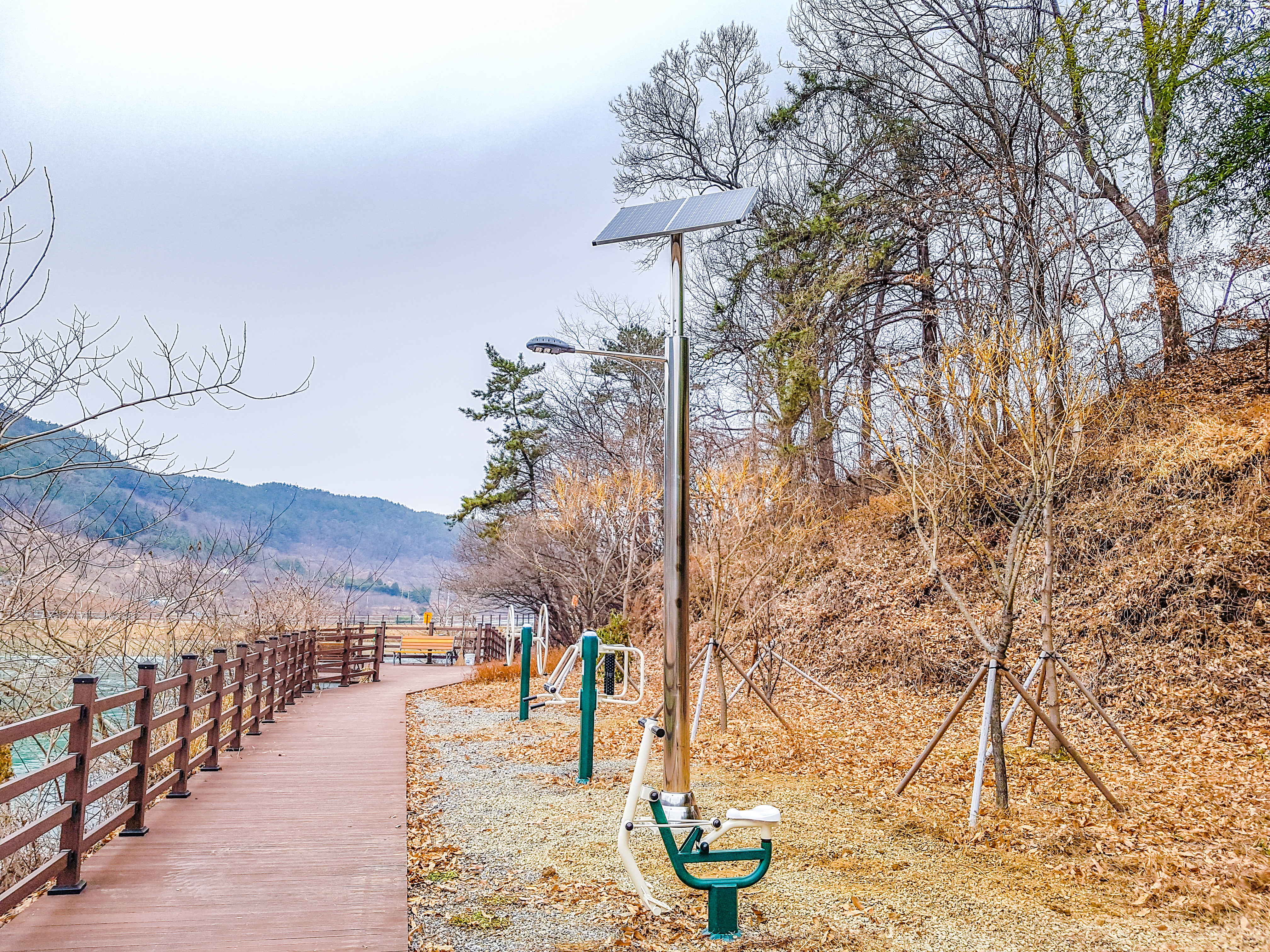Solar light