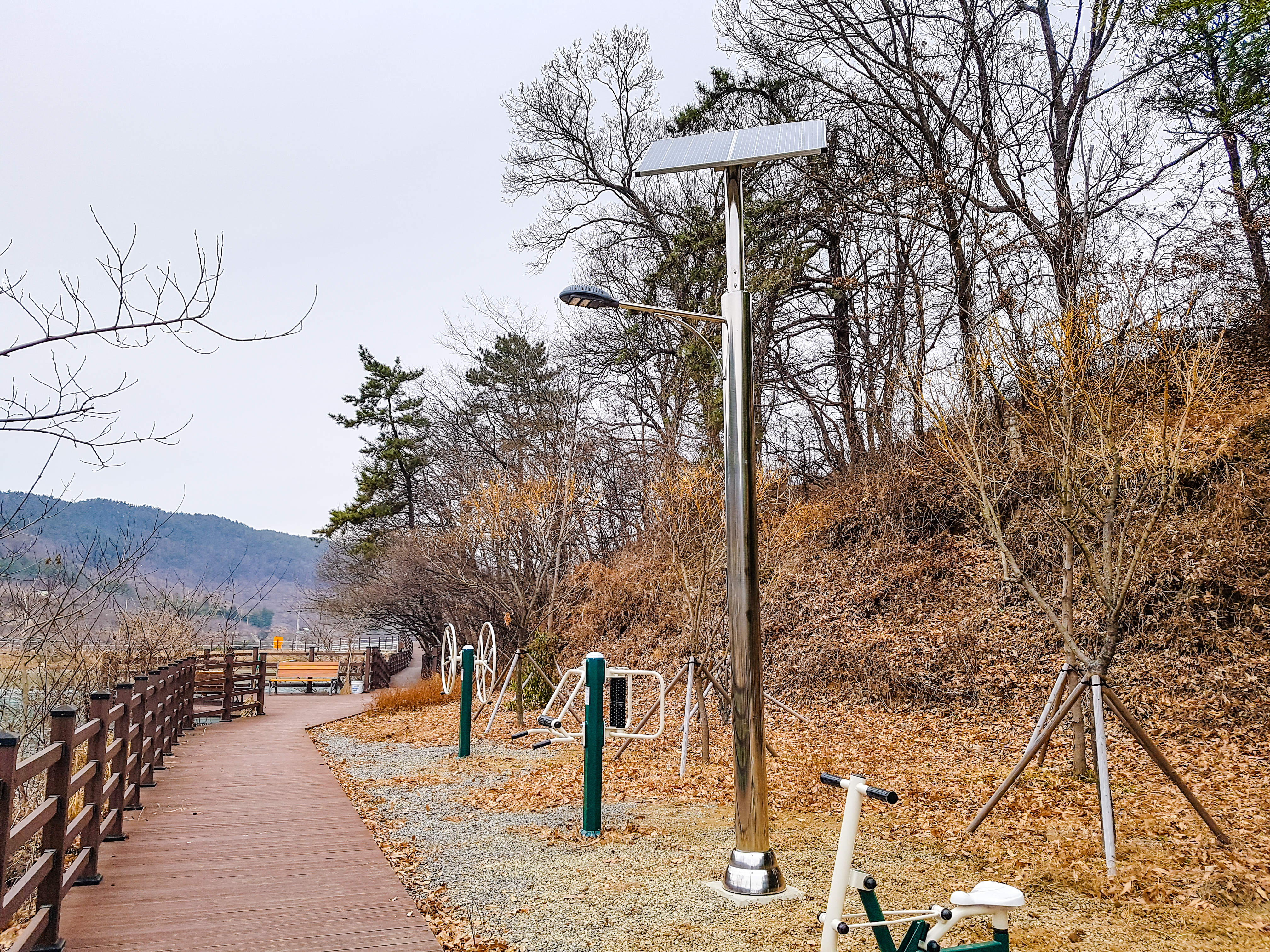 Solar light