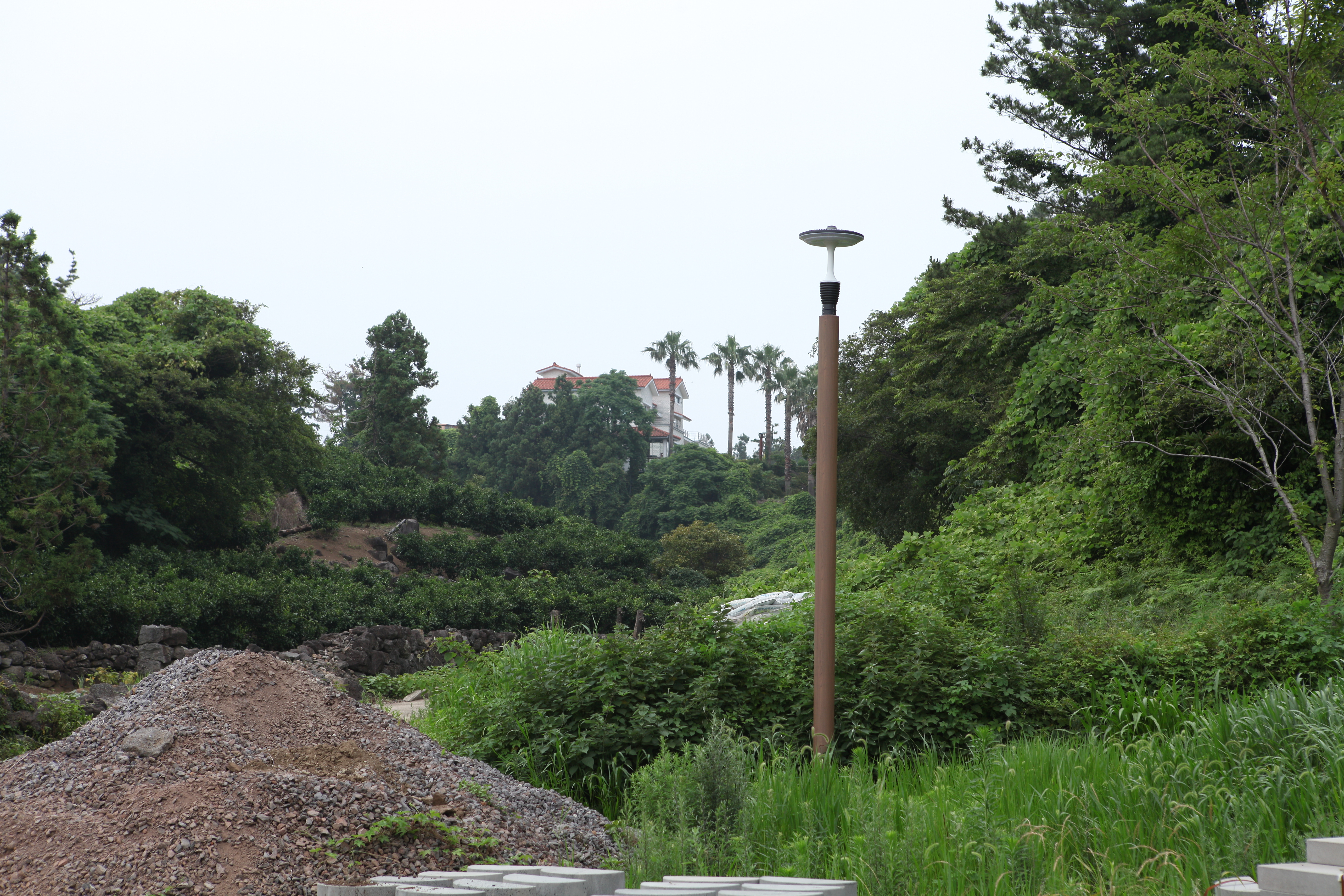 Jeju island