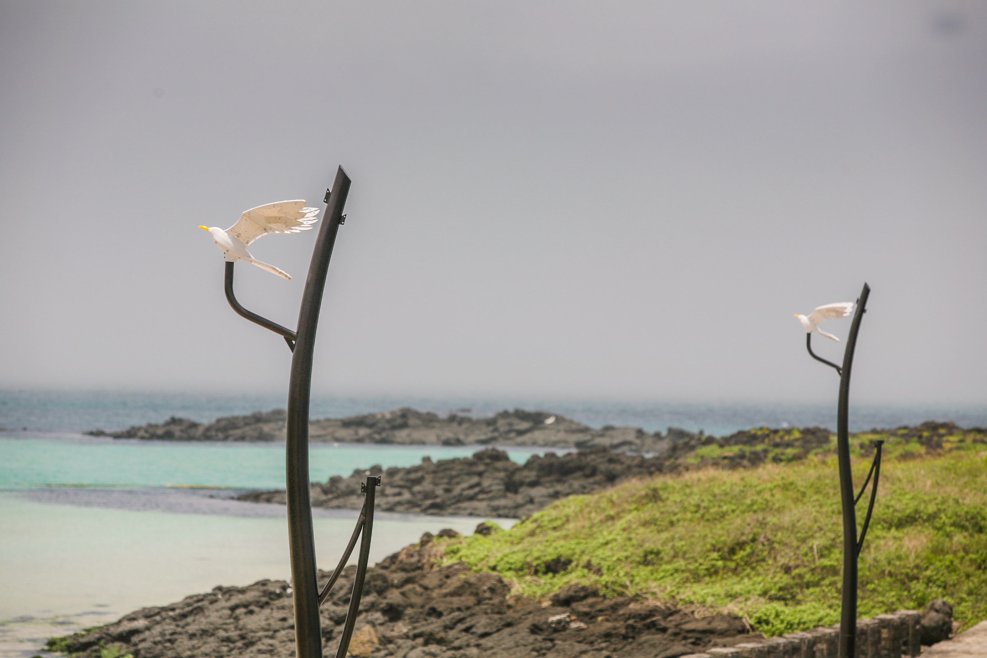 Jeju island