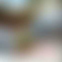 Manifestation 21/01/23