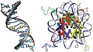 Computational epigenetics