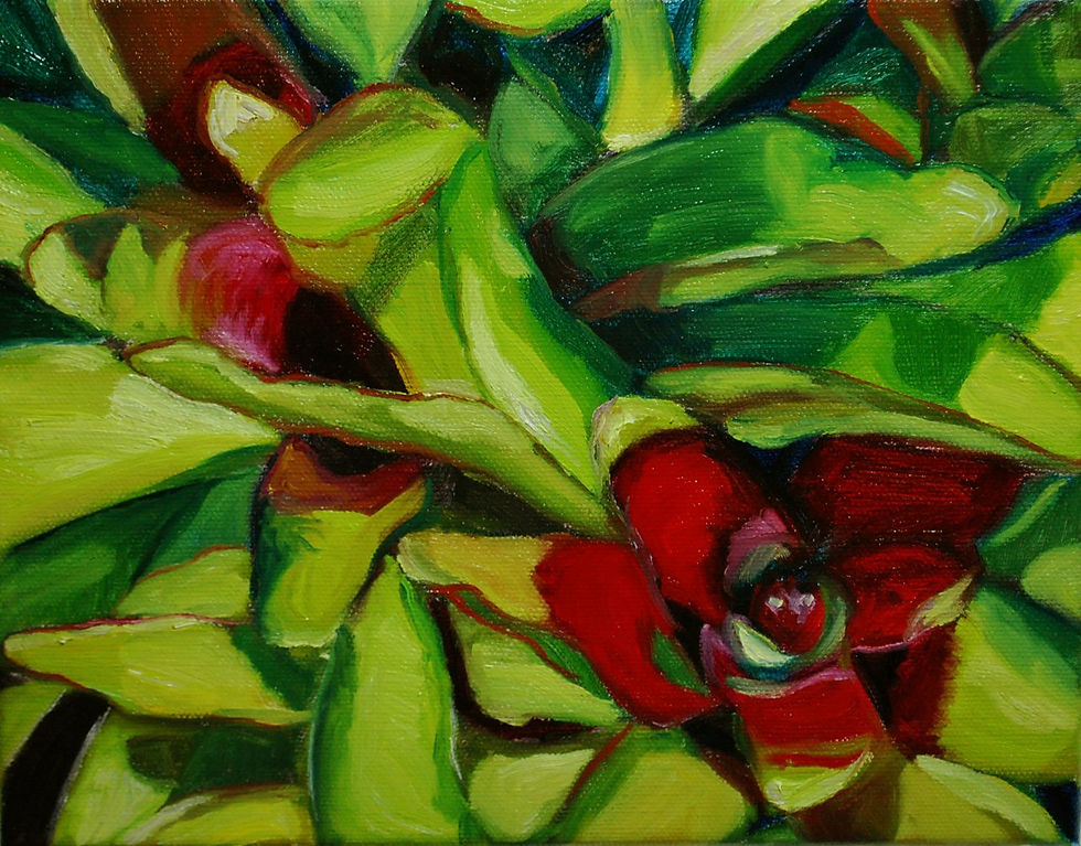 "Bromeliads"