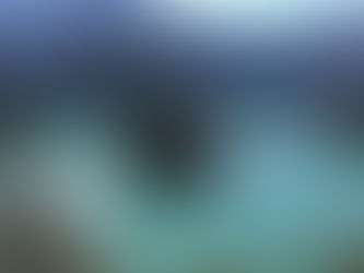 Agrinos 川根本町の活性化のために