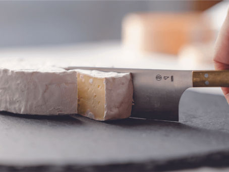 うしづまチーズ工場の魅力を探る