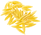 Orzo Large-final_edited.png