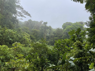 Die ersten Tage in Costa Rica - Vulkane und Regenwald