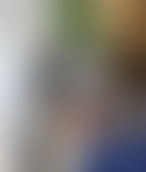 Lumi - 1 year old female