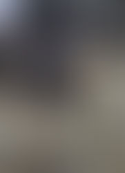 Ariarne - 5 year old female