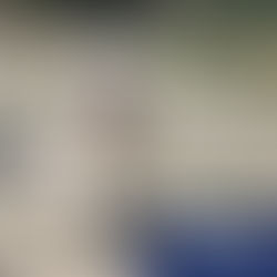 Amigo - 7 month old male