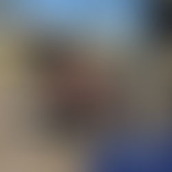 Knight - 6 month old male