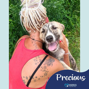 Precious - 6 months old female
