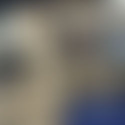 Oscar - 6 month old male