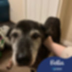 ree