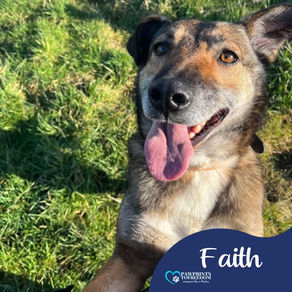 Faith- 8 year old female