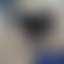 Axel - 10 month old male