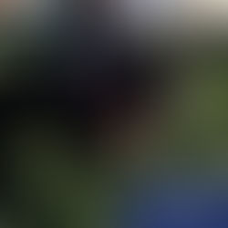 Tasha - 6 month old female