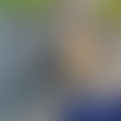 Sasha - 6 year old female