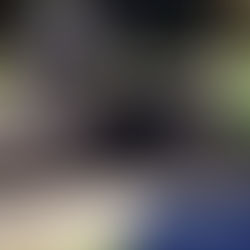 Lila - 1 year old female