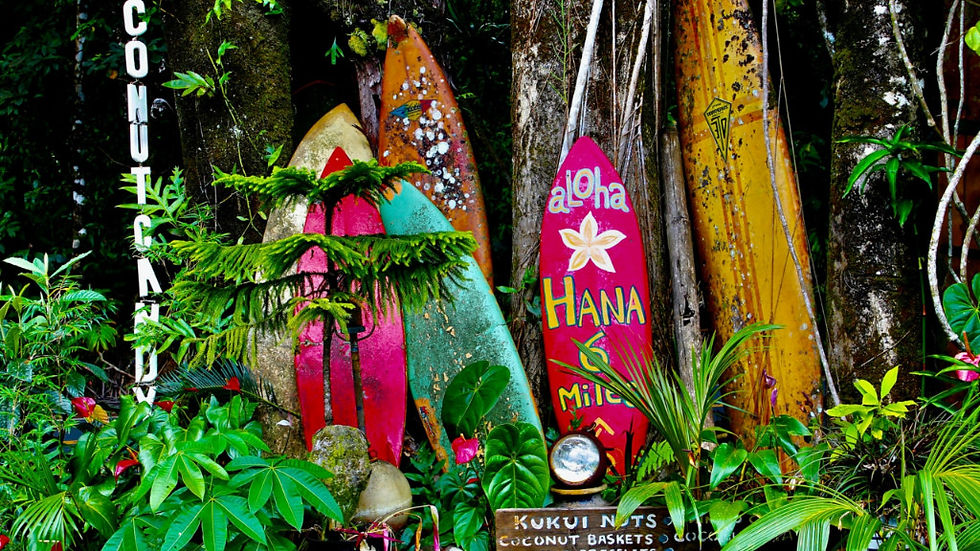 Colorful roadside stands selling coconut candy and decorative surfboards along the Road to Hana in Maui, Hawaii