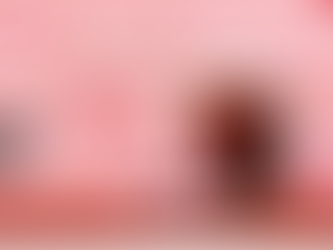 Quem lhe ensinou a voar merece um livro de presente!