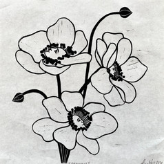 Anemones