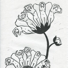 In Bloom