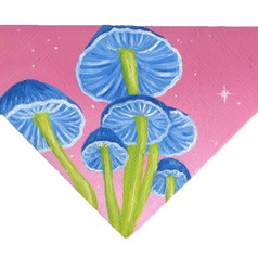 Shroom Study