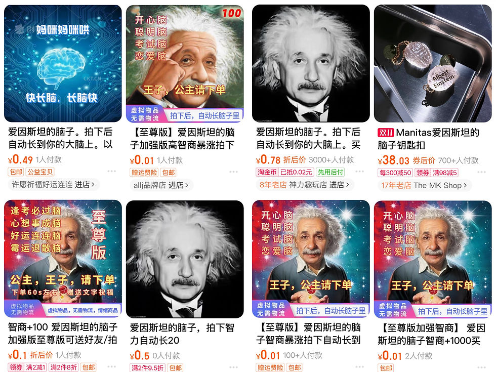 淘宝商品:爱因斯坦的脑子