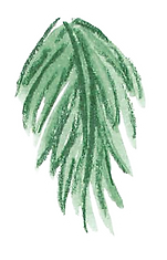 11.png