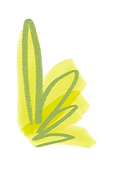 botannicalA-3 copy 5.png