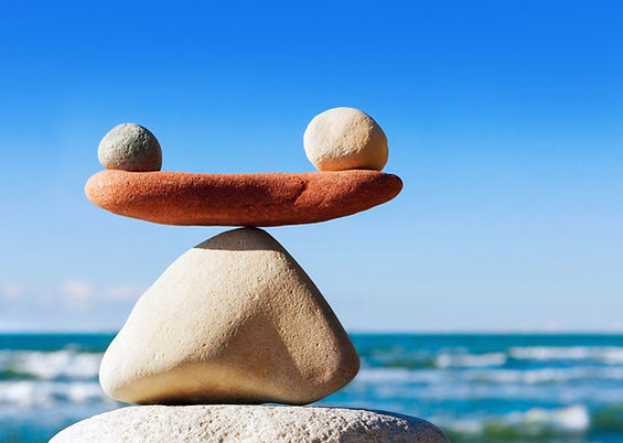 Body in equilibrium