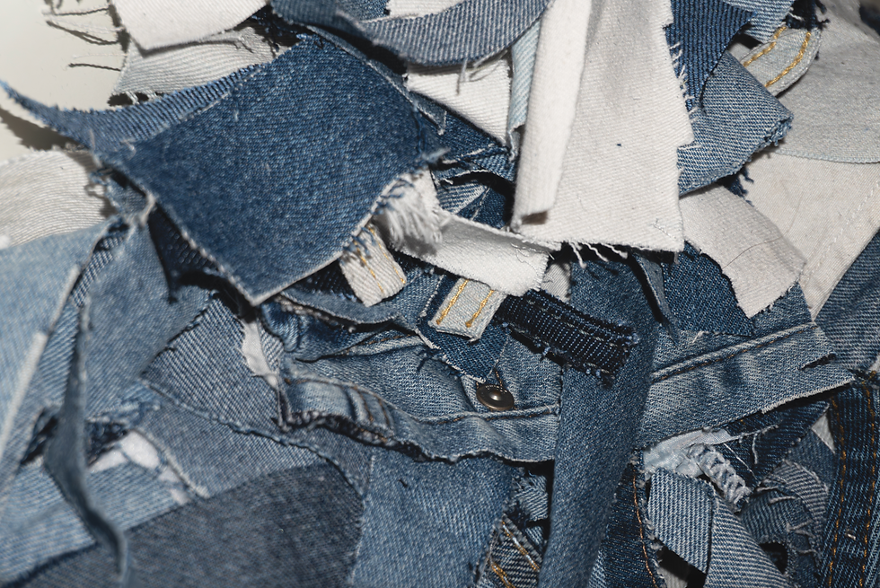 Screenshot 2024-11-19 at 3.24.43 PM.png