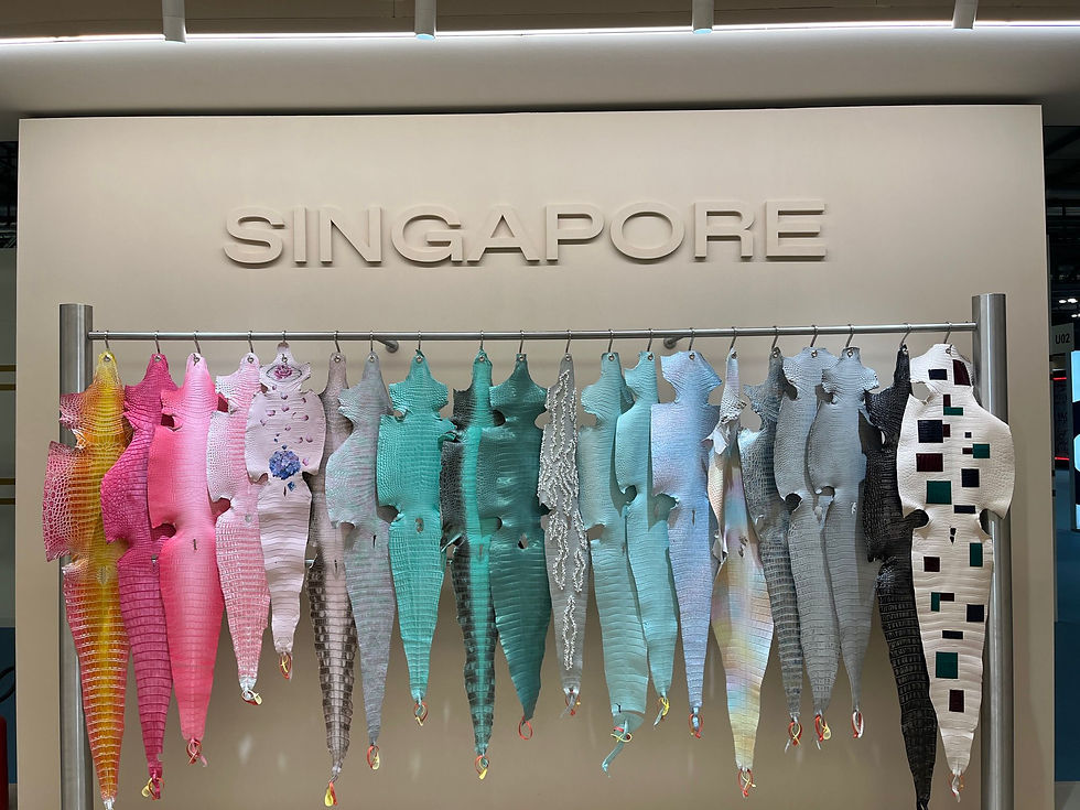 WhatsApp Image 2025-06-17 at 12.41.57 (1).jpeg