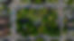 ParkBirdseye copy.jpeg