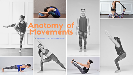 anatomy of movements (2).png